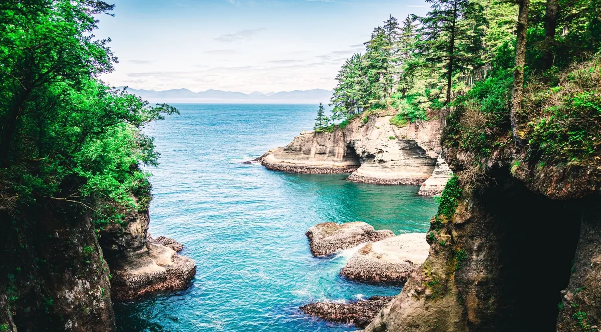 Turquoise cove framed by forested sea cliffs