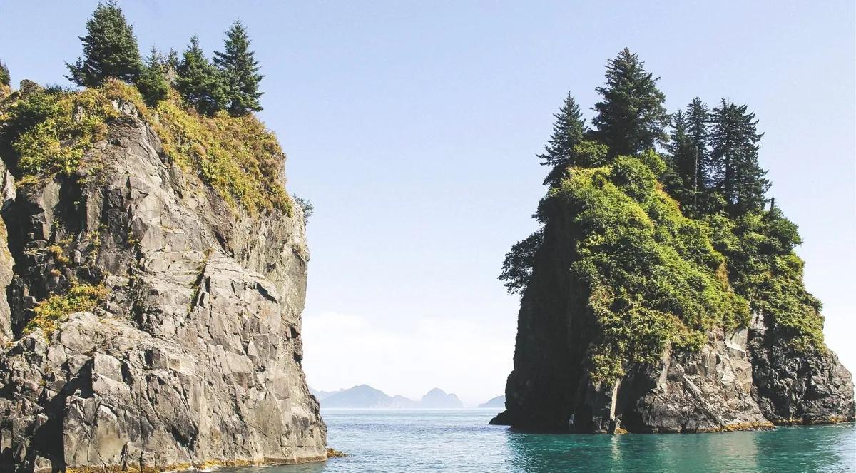 Spruce-topped rock islands rising from the sea